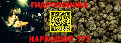 mdpv Можга